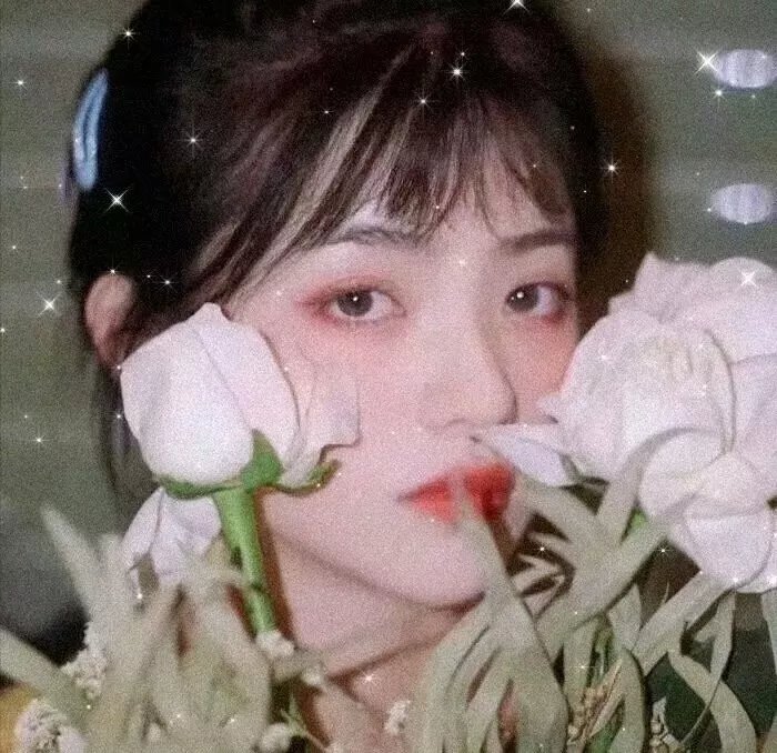 最后征战